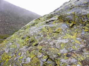 Lichens high on the Scafell massif. Photo: Emily Young.