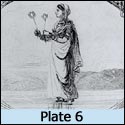 Plate 6
