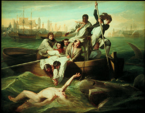 Watson and the Shark