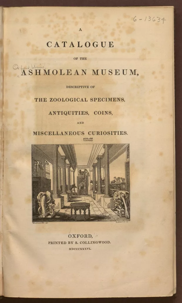 Inside of Ashmolean Museum 