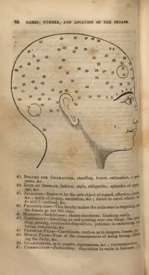 Map of Head