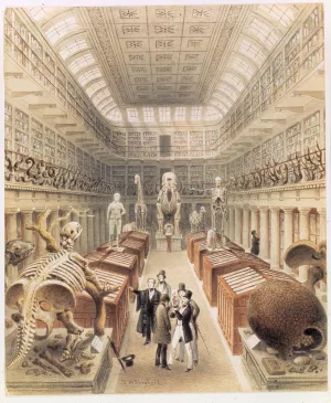 Water-color of museum with several fossilized skeletons
