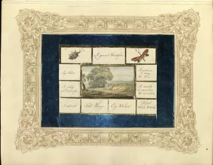 small paper panels, eight with handwritten labels, and two with watercolor depictions of insects, an arrangement that in its turn frames a watercolor landscape