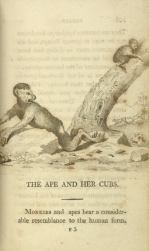 William Mulready, The Ape and her Cubs from Fables Ancient and Modern, Second Edition (1807);Courtesy of The New York Public Library.