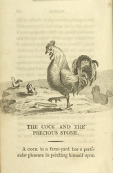 William Mulready, The Cock and the Precious Stone from Fables Ancient and Modern, Second Edition (1807);Courtesy of The New York Public Library.