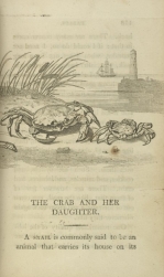 William Mulready, The Crab and her Daughter[*] from Fables Ancient and Modern, Second Edition (1807);Courtesy of The New York Public Library.