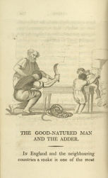 William Mulready, The Good-Natured Man and the Adder from Fables Ancient and Modern, Second Edition (1807);Courtesy of The New York Public Library.