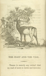 William Mulready, The Hart and the Vine from Fables Ancient and Modern, Second Edition (1807);Courtesy of The New York Public Library.