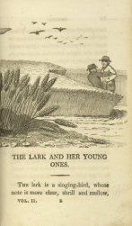 William Mulready, The Lark and her Young Ones from Fables Ancient and Modern, Second Edition (1807);Courtesy of The New York Public Library.