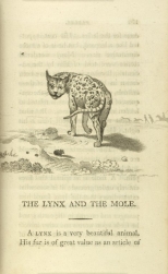 William Mulready, The Lynx and the Mole from Fables Ancient and Modern, Second Edition (1807);Courtesy of The New York Public Library.