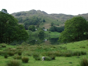 As Moorman notes in her biography, Wordsworth had troubled himself over discordant white houses since at least 1799 (Later Years 157). Photo: A house on Loughrigg Fell near Grasmere, exemplifying Wordsworth’s point about the tendency of white houses to dominate mountain vistas (Rachel Wise).