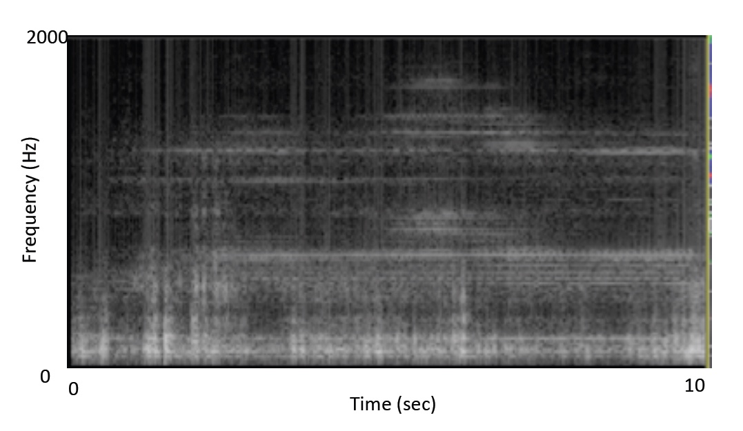 The Short-time Fourier Transform (spectrogram) above shows the time evolution of the spectral content of the Aeolian harp up to a maximum frequency of 2,000 Hz. 