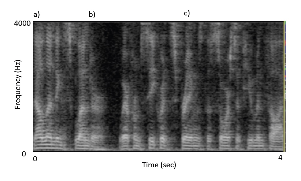 The spectrogram above represents a short excerpt from the first stanza of “Mont Blanc” and shows the syllable-by-syllable nuances of the reading. Vertical frequency bands often mark the occurrence of consonants, and emphasis on the vowels accounts for some of the curved structures. (Please listen to the audio file of this recording below this figure). To match the spectrogram with the audio file, three positions [a], [b], and [c] in the line have been marked in the figure and correspond to the following moments in Shelley’s lyric: “[a] Now lending splendour, [b] where from secret springs / The [c] source of human thought . . .” (4-5). 