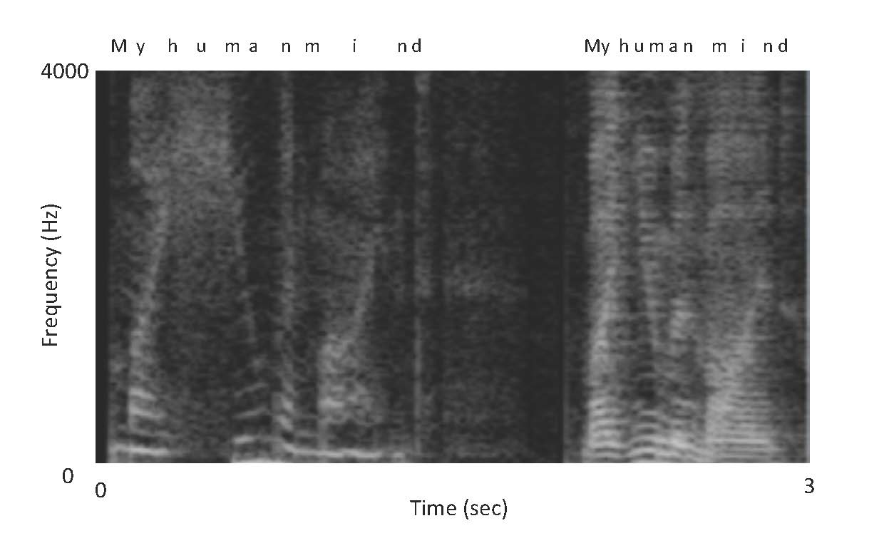 The spectrogram above compares two separate recitations of the following phrase from “Mont Blanc”: “my human mind” (37). The first is by a female voice (please click here to listen to the audio file of this recording), and the second is by a male voice (please click here to listen to the audio file of this recording). The temporal placement of each syllable, including the composite consonants and vowels, are shown immediately above the plot. The tempo of the second recitation is faster than the first and is therefore more compressed in the plot. The caesuras appear as dark vertical areas. Slight variations in pitch at the vowels can be discerned (these are the curved structures) in both recitations, and while the recitations differ in many ways, the spectrogram also reveals the presence of several similar inflections.