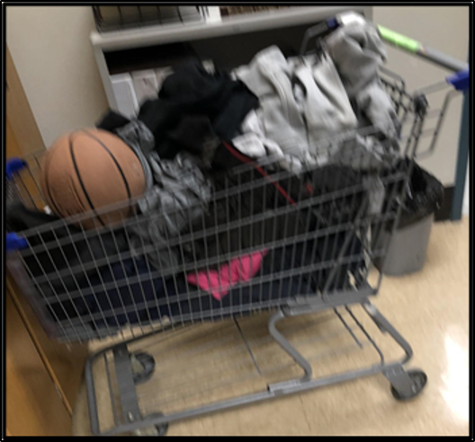 Figure 5:  The school’s hoody cart by Nick Blaisdell