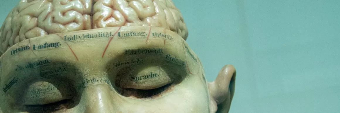 early 20th century model of brain