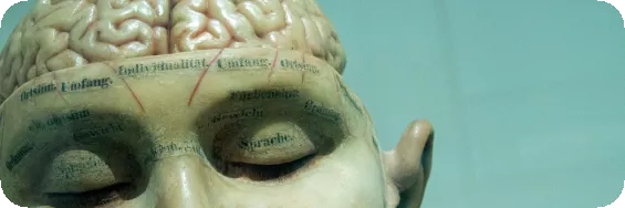 early 20th century model of brain