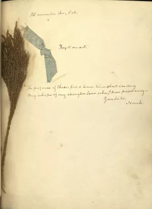 Handwritten text on an old yellowing page with a flower on the left side