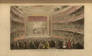 Theater-goers watch a performance