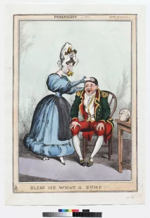 Woman Observing Head 