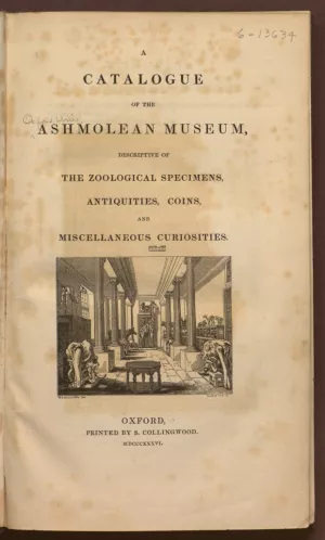 Inside of Ashmolean Museum 