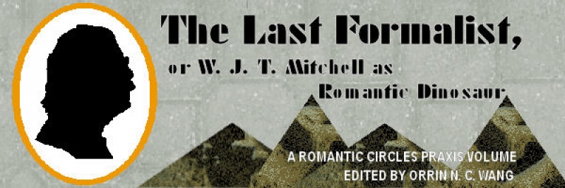 The Last Formalist, or W.J.T. Mitchell as Romantic Dinosaur, Edited by Orrin N.C. Wang