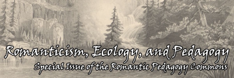 Romanticism, Ecology and Pedagogy