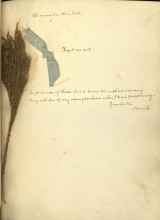 Handwritten text on an old yellowing page with a flower on the left side